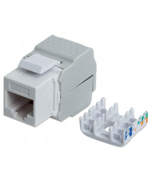 INTELLINET Cat6 Keystone Jack RJ-45 UTP modul