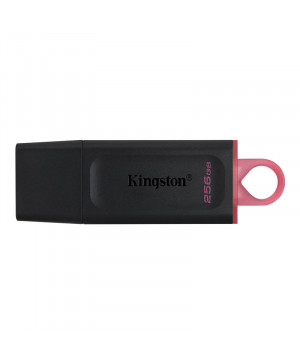 KINGSTON DataTraveler Exodia 256GB USB 3.2 Gen1 (DTX/256GB) USB ključ