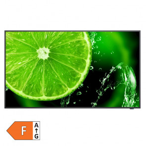 NEC MultiSync E328-2 80cm (32") FHD IPS 16/7 zvočniki informacijski monitor
